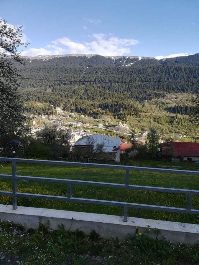 Valodia Guest House In Mestia Buitenkant foto